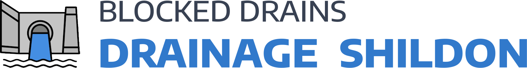 website logo